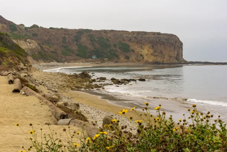 A rocky beach curving toward coastal cliffs beside calm water